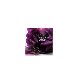 La Nuit Trésor - Le Parfum La Nuit Trésor - Le Parfum